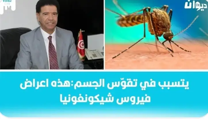 ظهور وانتشار فير.وس شيكونغونيا في الصين