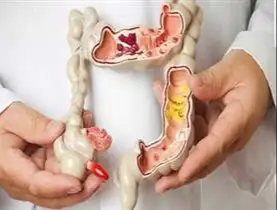 testحديثة 