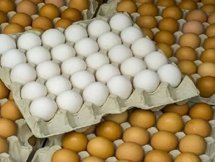 متى يتحول البيض إلى سم خطير وقاتل؟.. احذروا اكلة في هذه الحالة مهما كان الأمر!!