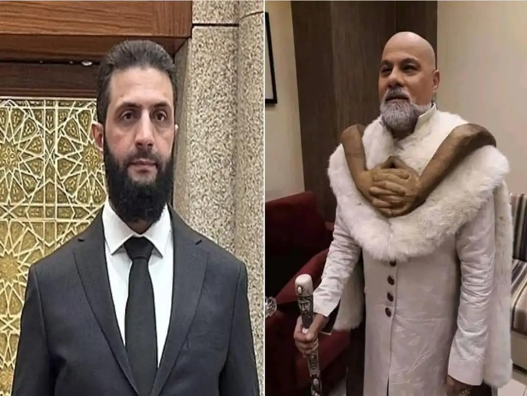 testمايك فغالي