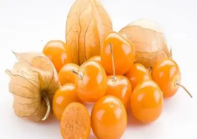 testحرنكش